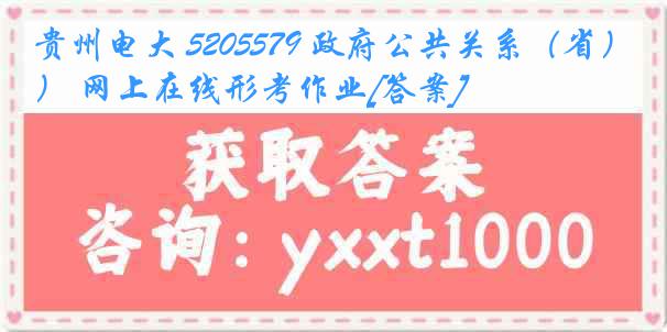 贵州电大 5205579 政府公共关系（省） 网上在线形考作业[答案]