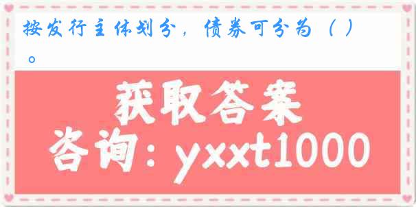按发行主体划分，债券可分为（ ） 。
