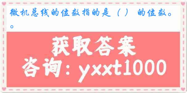 微机总线的位数指的是（ ） 的位数。