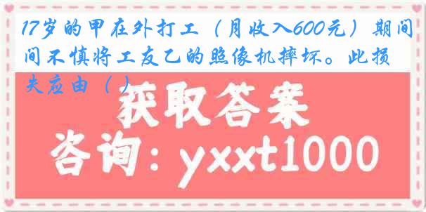 17岁的甲在外打工（月收入600元）期间不慎将工友乙的照像机摔坏。此损失应由（ ）