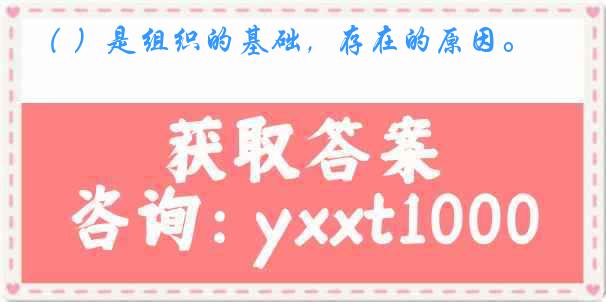 （ ）是组织的基础，存在的原因。