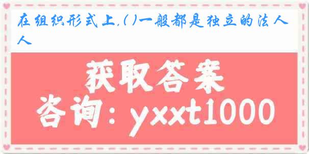 在组织形式上,( )一般都是独立的法人