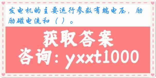 发电机的主要运行参数有端电压，励磁电流和（ ）。