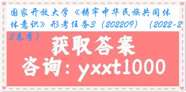 国家开放大学《铸牢中华民族共同体意识》形考任务3（202209）（2022-2023春季）