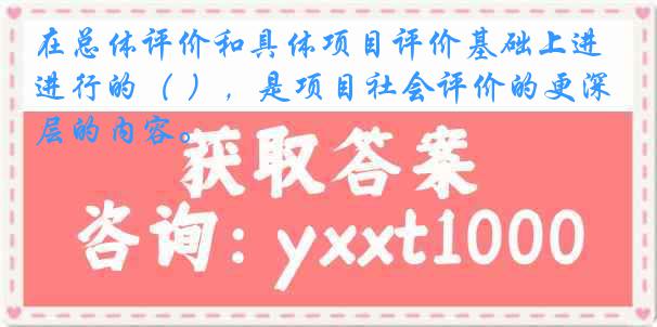 在总体评价和具体项目评价基础上进行的（ ），是项目社会评价的更深层的内容。