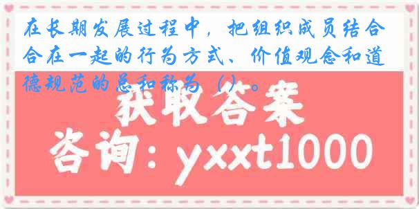 在长期发展过程中，把组织成员结合在一起的行为方式、价值观念和道德规范的总和称为（）。